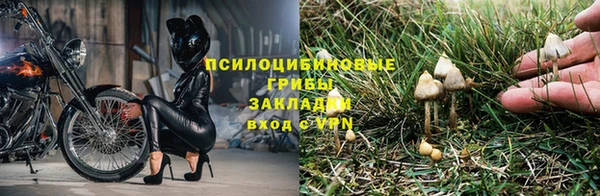 соль ск Армянск