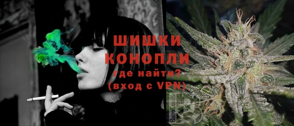 индика Остров