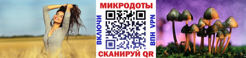 Галлюциногенные грибы Psilocybe  магазин продажи наркотиков  Саки 